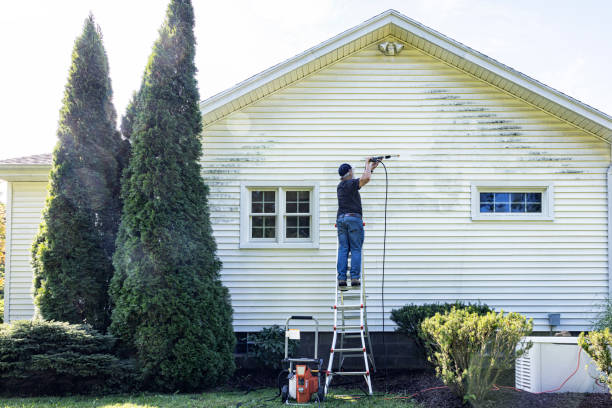 Best Pressure Washing Driveway  in Murphysboro, IL